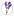 ароматлаванды.рф favicon