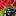 вавож-косогор-смородина.рф favicon