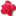 в-мире-цветов36.рф favicon