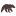 дарысибири.рф favicon