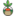 ешьхудей32.рф favicon