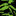 иероглиф.рф favicon
