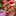 кафевосточное.рф favicon