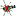 клуб-экстрим.рф favicon
