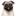 купить-мопса.рф favicon