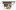 лепныхделмастер.рф favicon