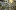 лесобаза-рязань.рф favicon