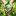 народная-медицина58.рф favicon