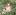 папийонщенки.рф favicon