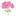 пеларгонии-герани.рф favicon