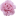 пионы-доставка.рф favicon