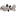 прибрежный44.рф favicon