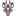 раковая24.рф favicon