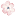сибирскийпервоцвет.рф favicon