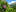 сувенирыалтаякедр.рф favicon