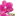 топбукет.рф favicon