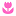 тюльпаныростов.рф favicon