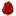 тюльпан-оптурал.рф favicon