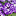 флорита.рф favicon