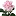французскиерозы.рф favicon