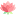 хищнаяфлора.рф favicon