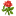 цветы-люкс.рф favicon