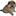чау-чау-спб.рф favicon