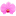 100orchids.ru favicon