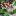 1oriental.ru favicon