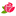 21roza.ru favicon
