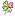 adonnis.ru favicon
