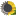agrooleum.ru favicon