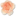 akvarel-cvetov.ru favicon