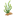 akvariumnyerasteniya.ru favicon