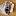 albumslesyaphoto.ru favicon