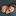 alenagrebenkova.ru favicon