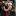 alenanurmagomedova.ru favicon