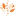 alenasolar.ru favicon