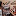 alisaalbums.ru favicon