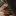 alisakhrekova.ru favicon