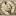 almagestum.ru favicon