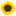 altaipole.ru favicon
