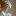 alyakonovalova.ru favicon