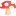 amanitared.ru favicon