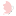 ameliphoto.ru favicon