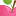 amoreshop.ru favicon