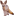 andreikopylov.ru favicon