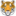 animaltrips.pl favicon