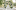 anstar-wedding.ru favicon