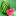 arbuz-shop24.ru favicon